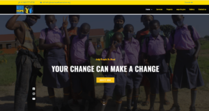 best professional and affordable web design services in ottawa, montreal, toronto, quebec, gatineau and canada, with a special offer to boost sales today, featuring stunning high-converting websites to enhance business success.